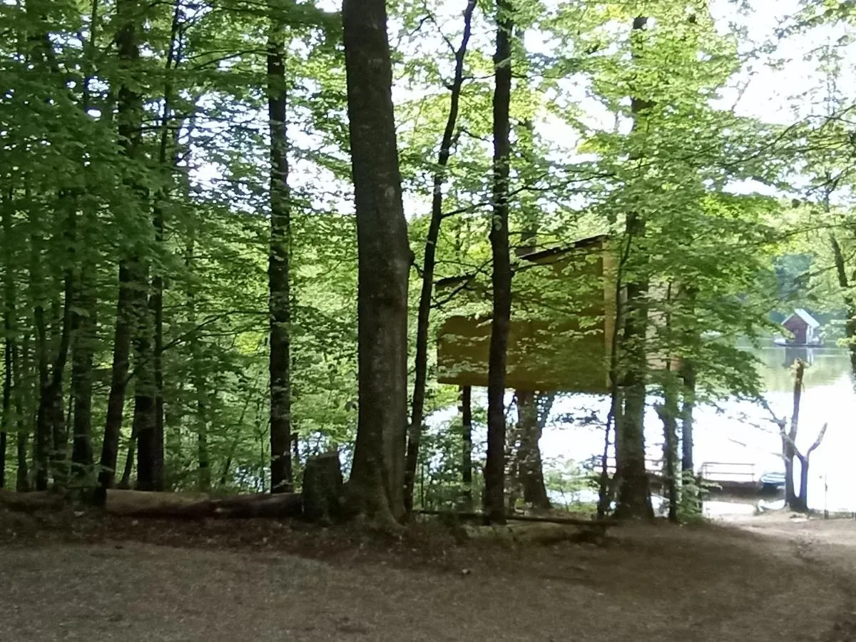 Séjour à la campagne cabanes dans les arbres du lac Saint-Etienne-Cantales France