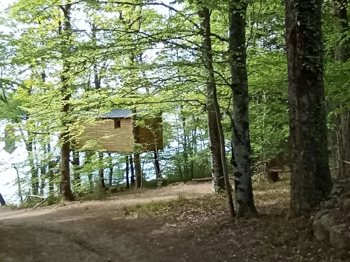 cabanes dans les arbres du lac Saint-Etienne-Cantales