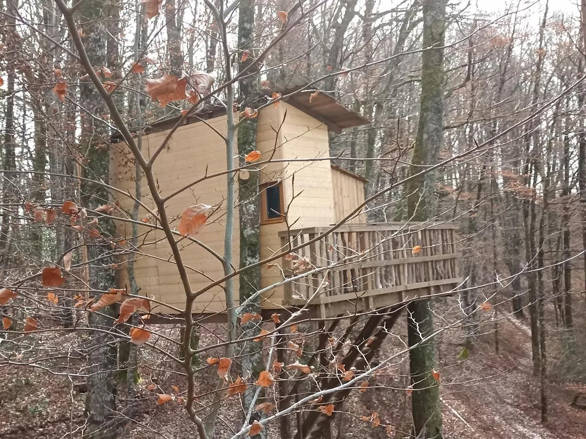 Séjour à la campagne cabanes dans les arbres du lac Saint-Etienne-Cantales France